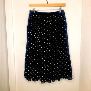 Pleated Ballerina Skirt